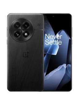 OnePlus 13